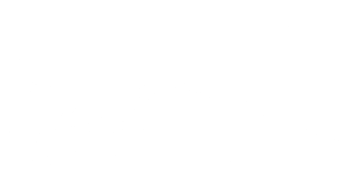 Last Night of Zaraxa cover